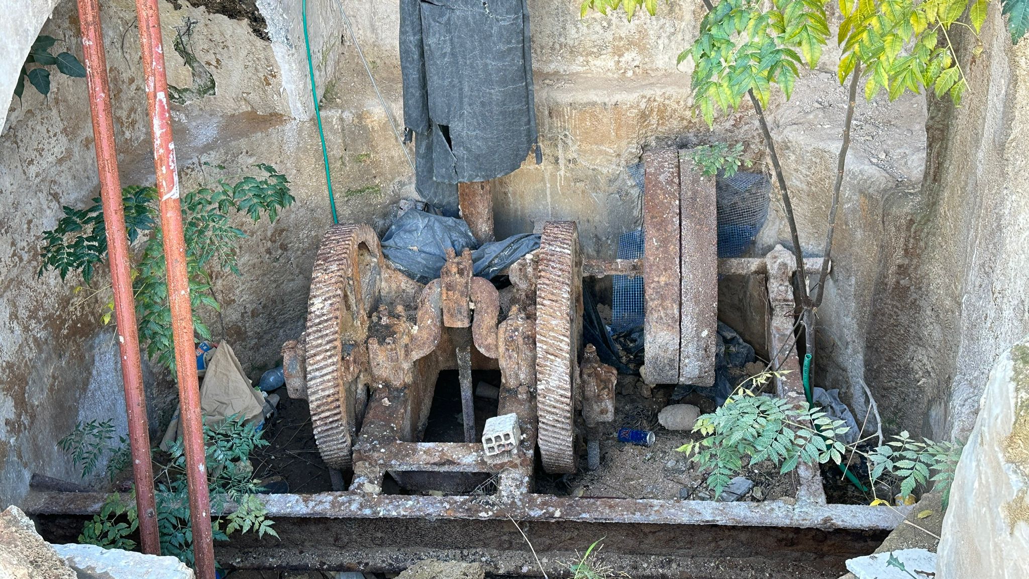 WhatsApp Image 2024-01-06 at 10.25.26.jpg